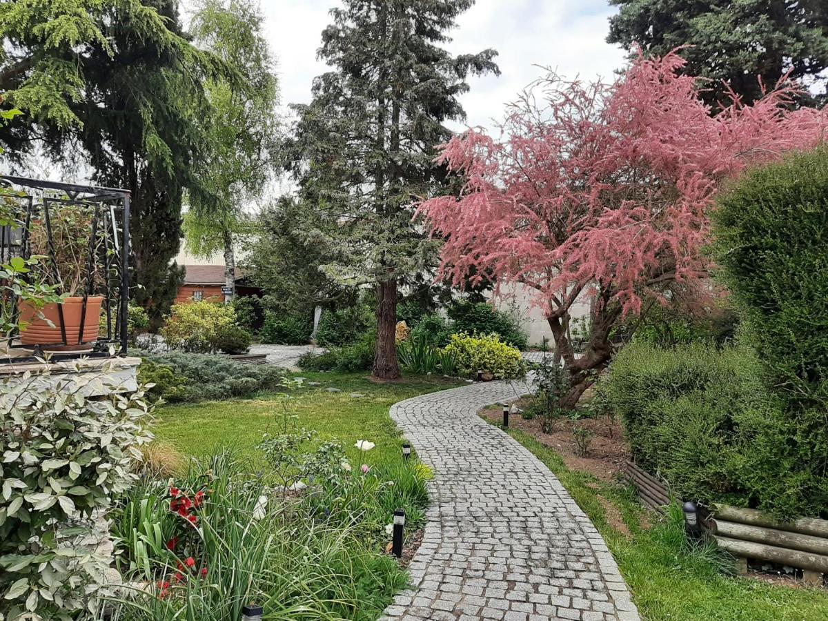 Studio L'Independance Apartman Buchelay Kültér fotó